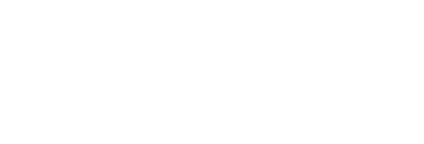 Success stories of Plex Bit Info Systems