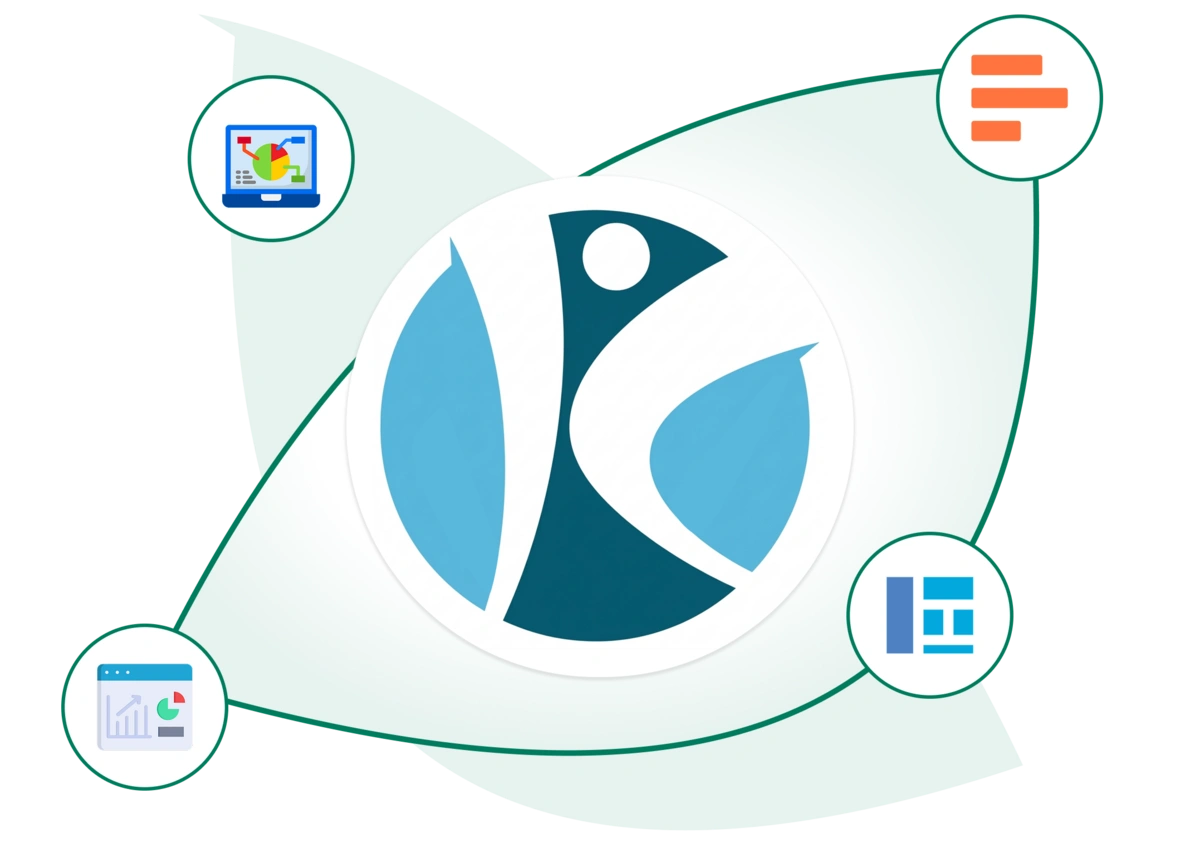 use of business intelligence